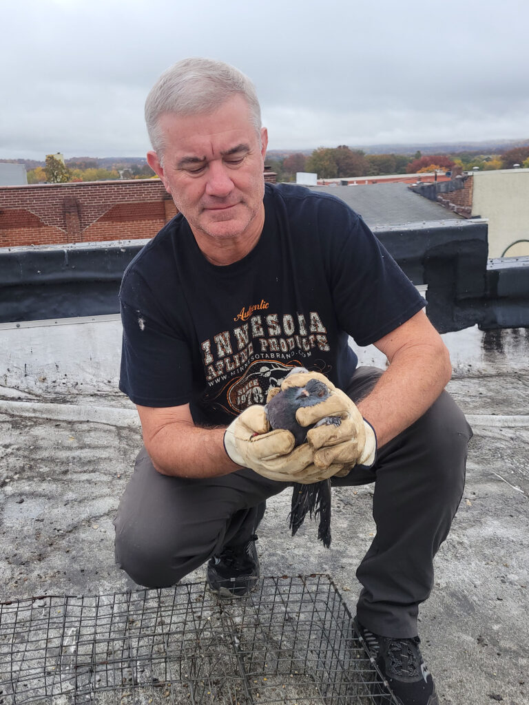 Photo of Dan Lynch holding a rock pigeon.