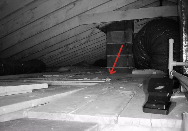 A black-and-white image of the attic showing a mouse in the room and a red arrow pointing to it.