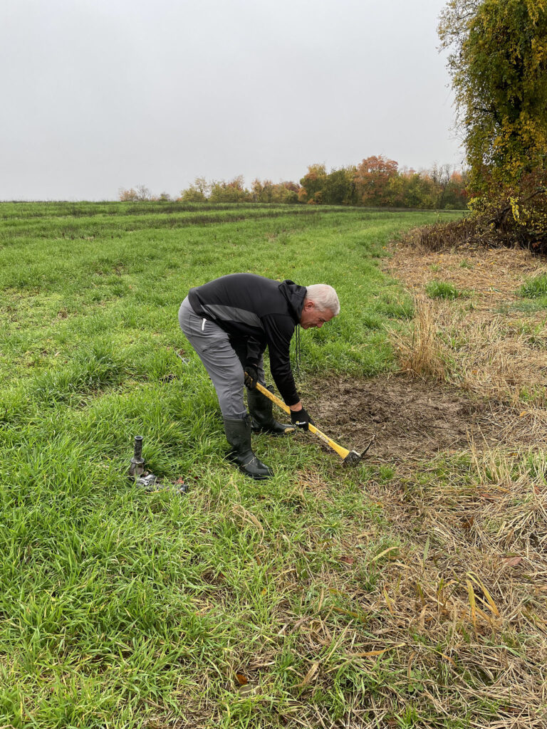 Photo of Dan digging a hole in the dirt with a pick axe. This is the start of setting a fox trap.