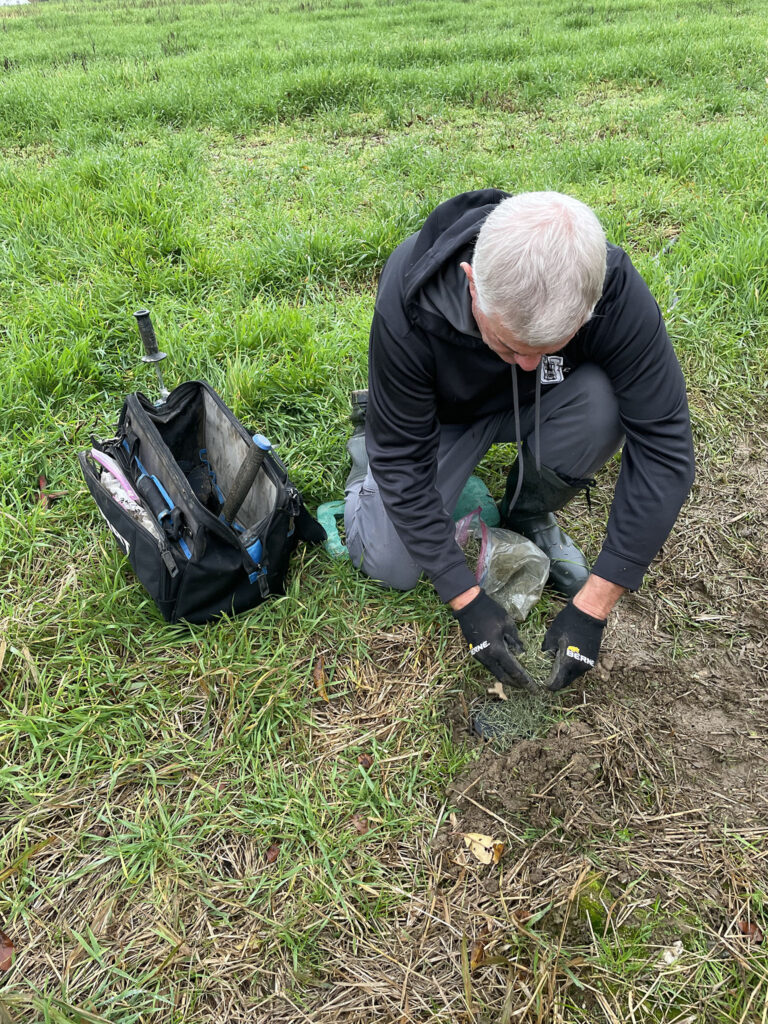 Photo of Dan covering the fox trap with grass.