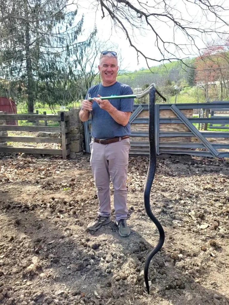 Dan holding up a large black rat snake