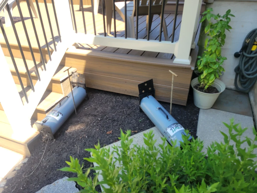 Skunk traps set out in front of a porch