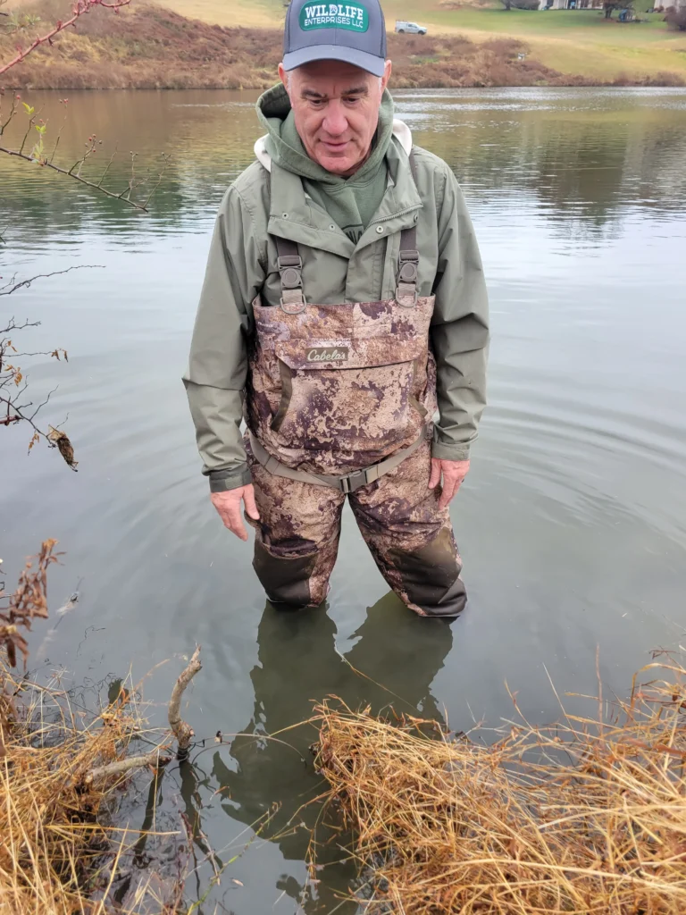 Dan checking a beaver snare in a pond