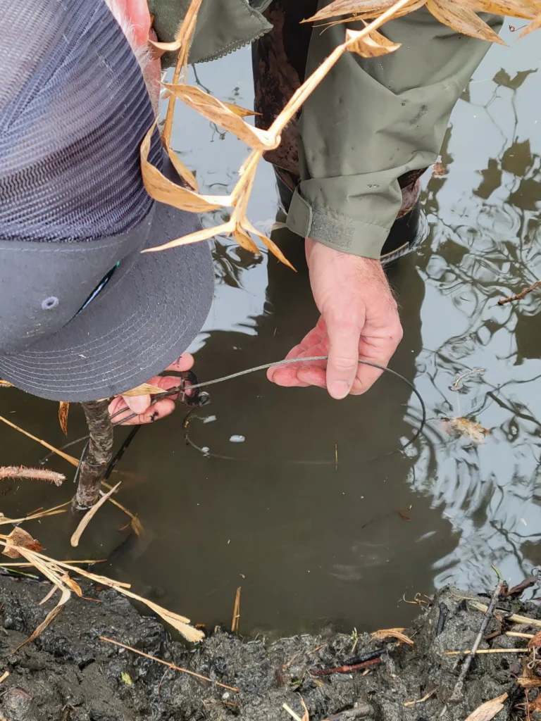 Close up of a snare adjustment