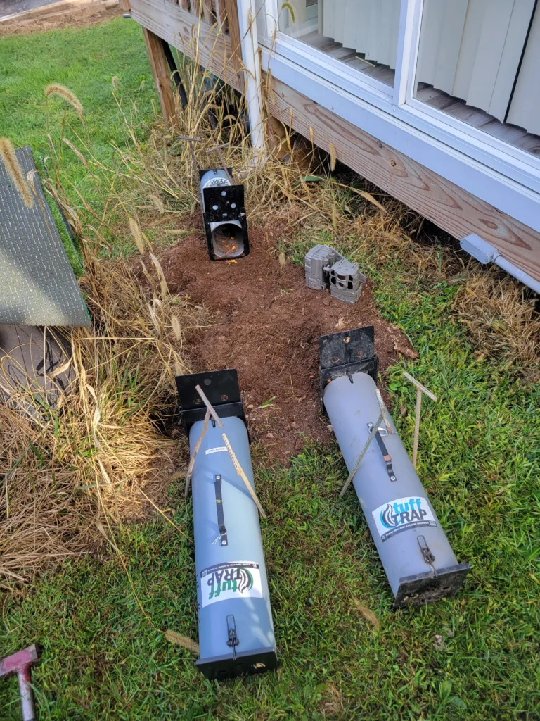 3 spray-proof skunk traps